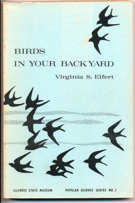 Birds-Backyard-1