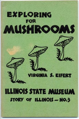 Mushrooms-1